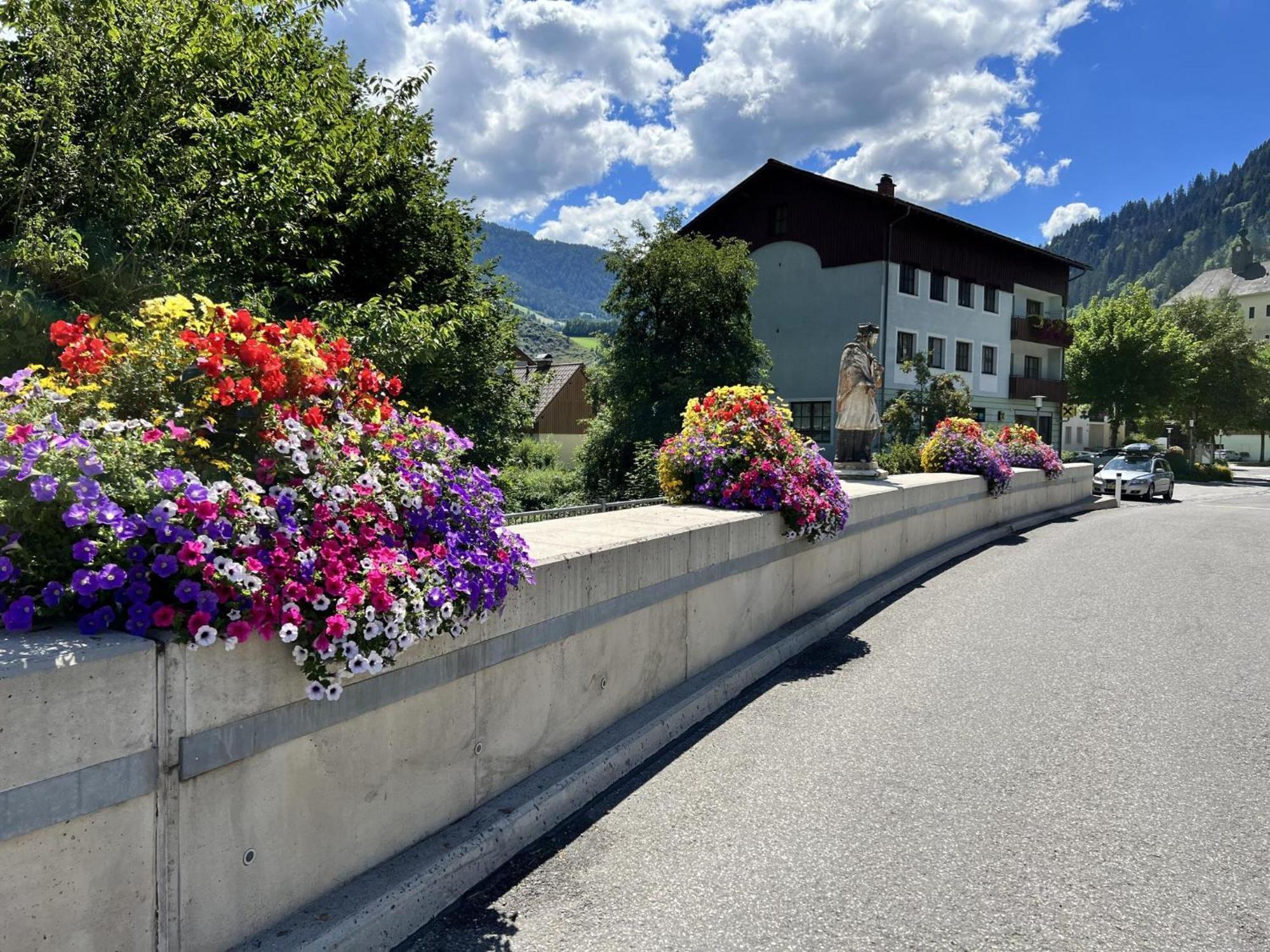 ドナースバッハヴァルト Haus Benteヴィラ エクステリア 写真